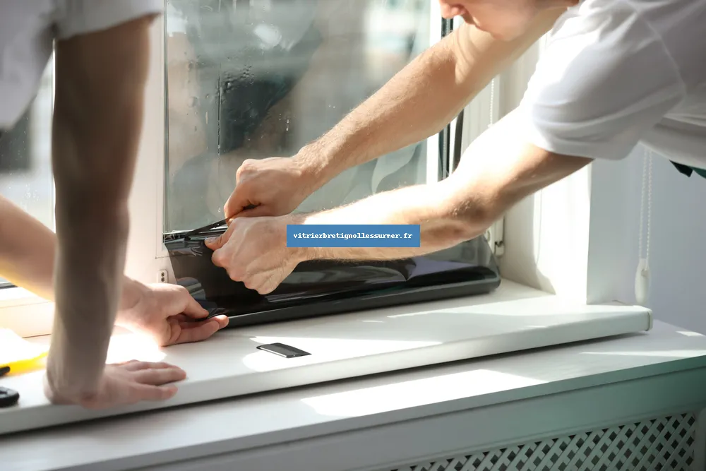 Vitrier Bretignolles-sur-Mer